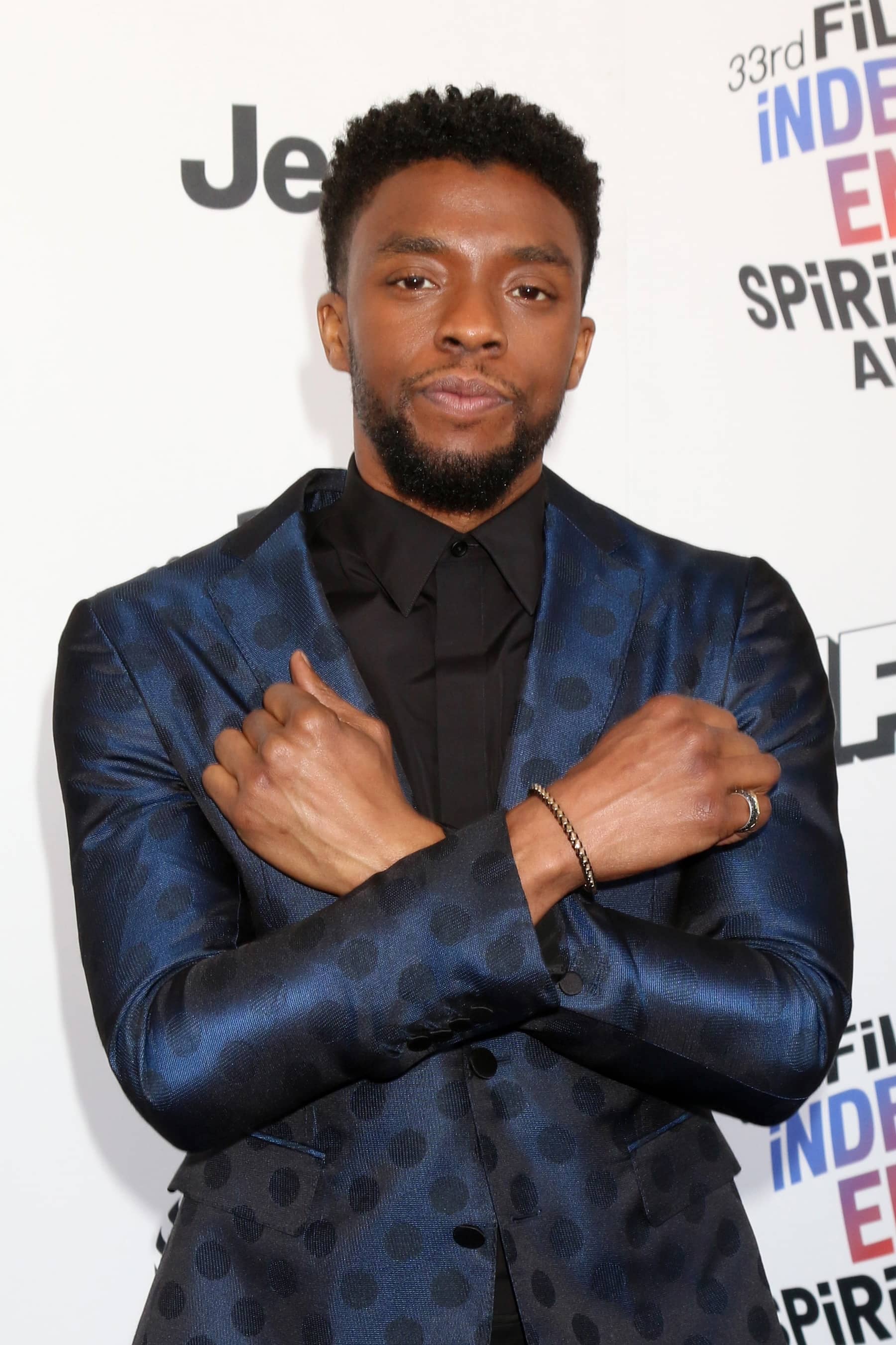 Character Development Character Arc Black Panther Chadwick Boseman