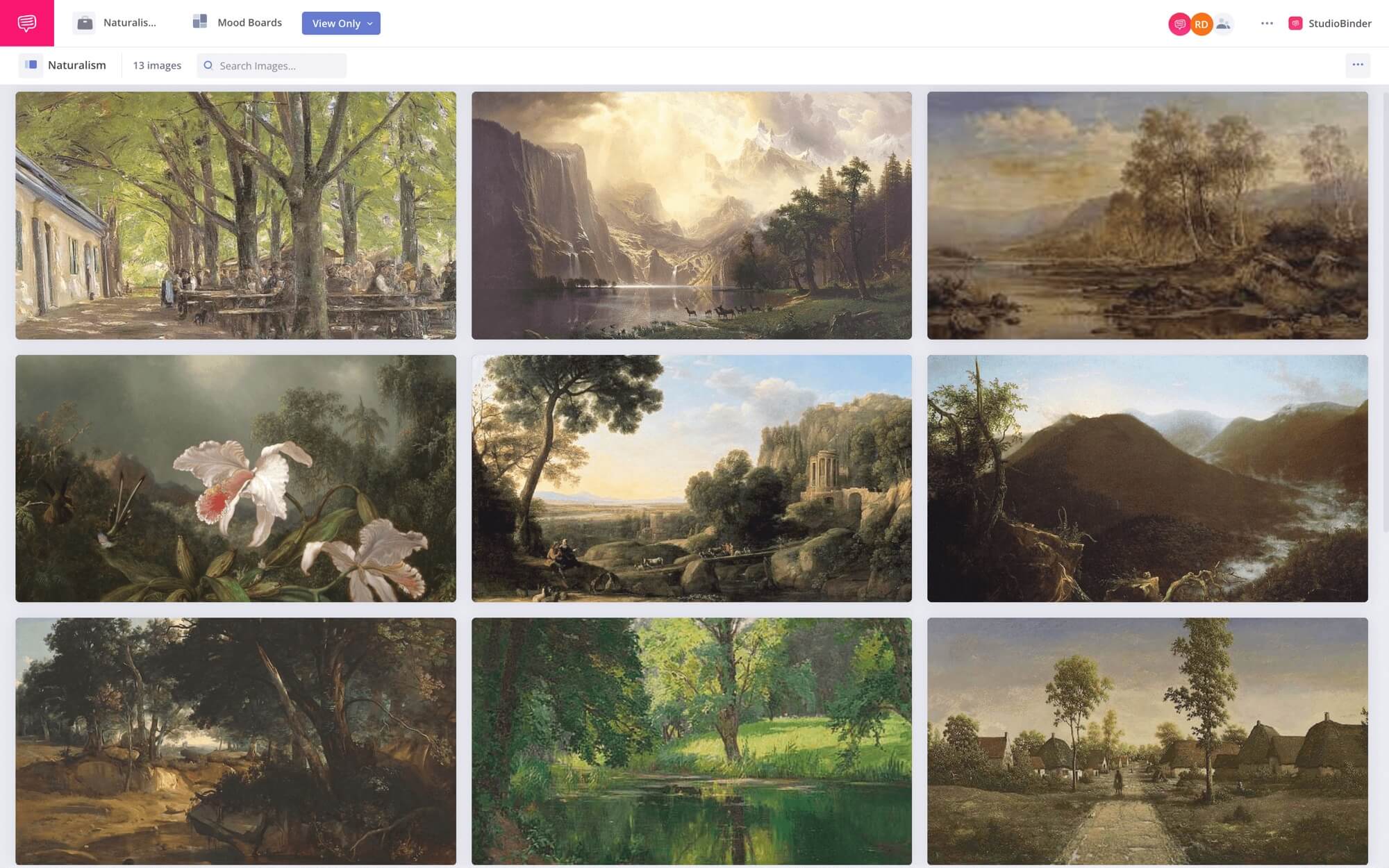 Naturalism vs Realism Naturalism Mood Board StudioBinder Mood Boarding Software