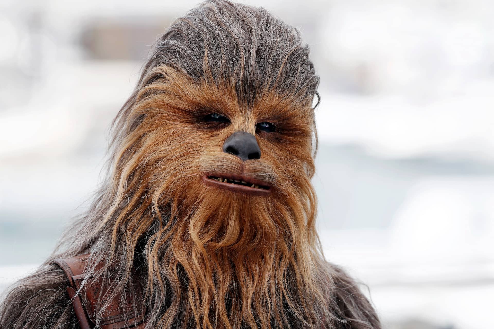 What are the Types of Characters in a Story Chewbacca Flat Characters