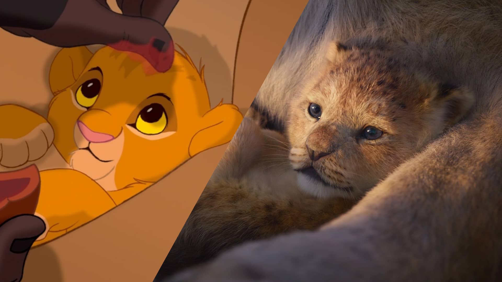 What is Live Action Movie Lion King Live Action vs Animation