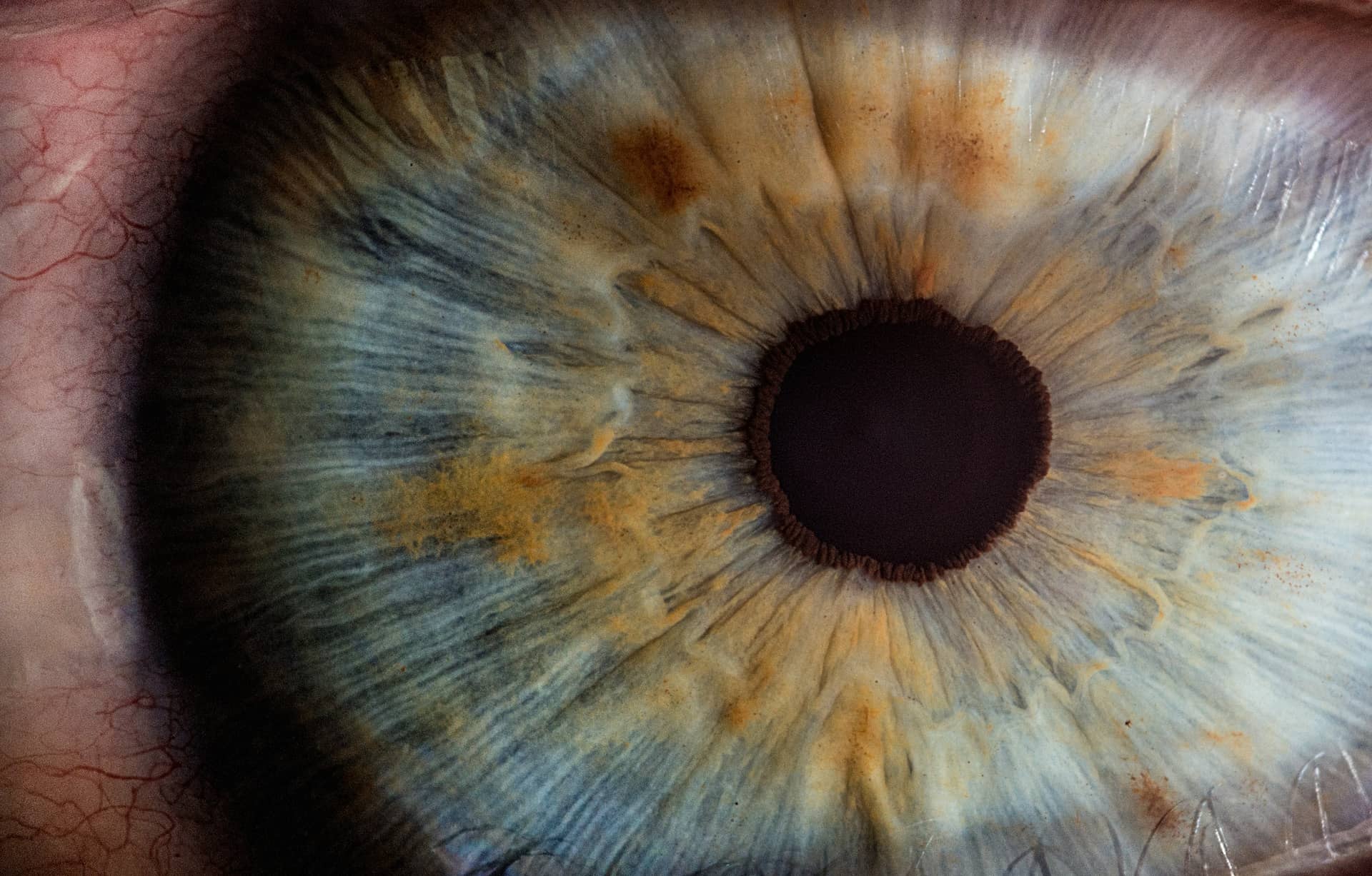 What is a Macro Lens Closeup on Eye Color Example What is a Macro Lens Closeup on Eye Color Example