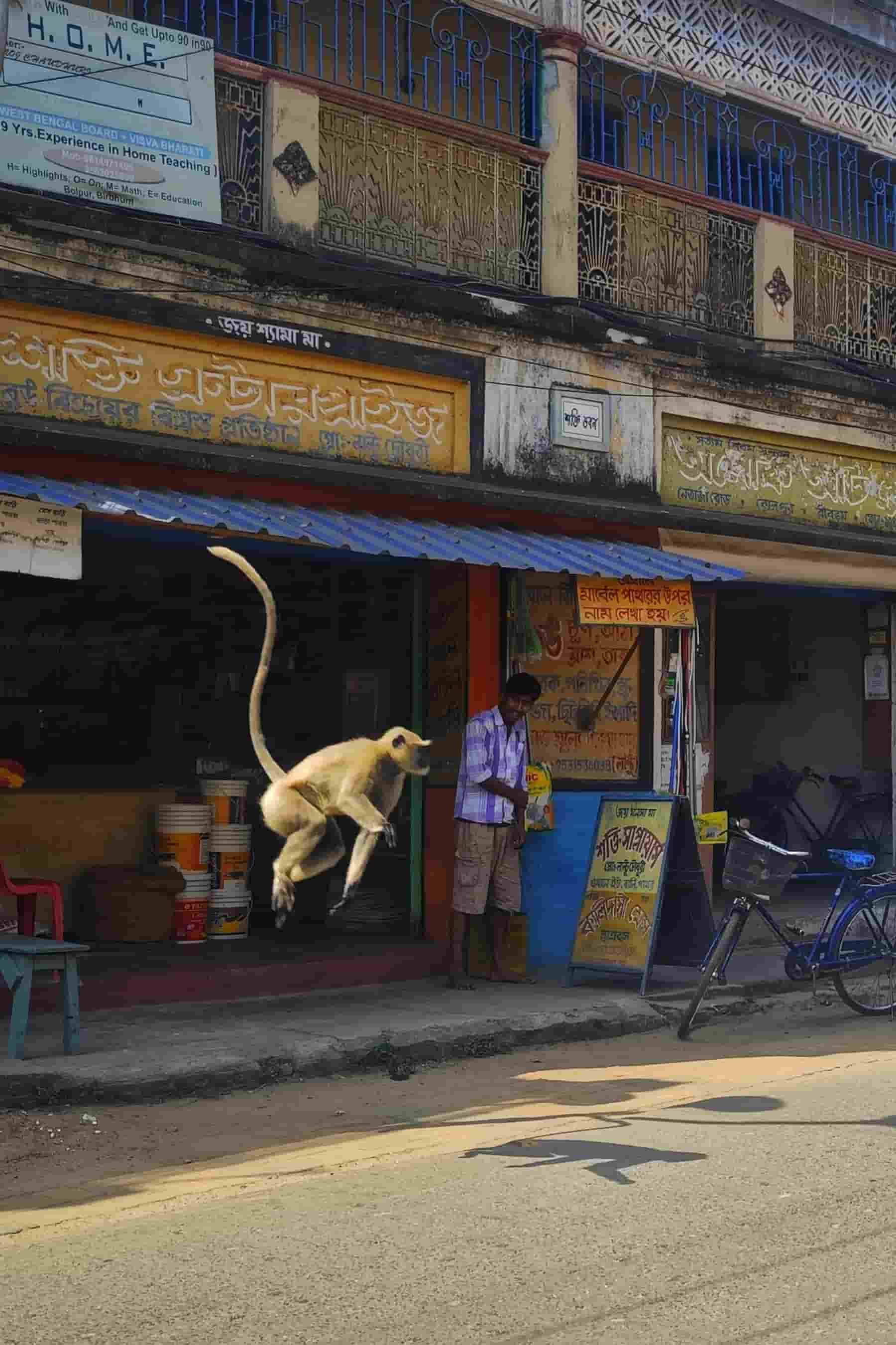 Action street photography ideas monkey jumping in air
