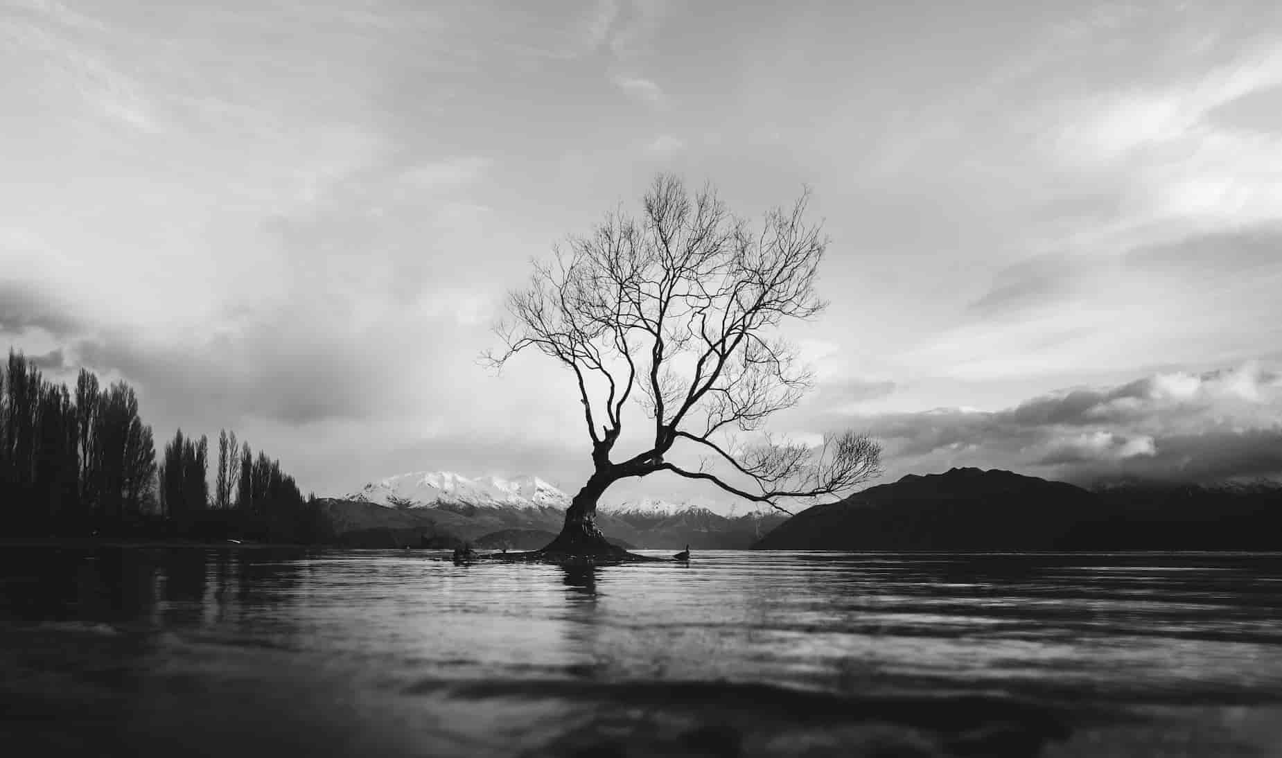 Black and White Prints Landscape Photography