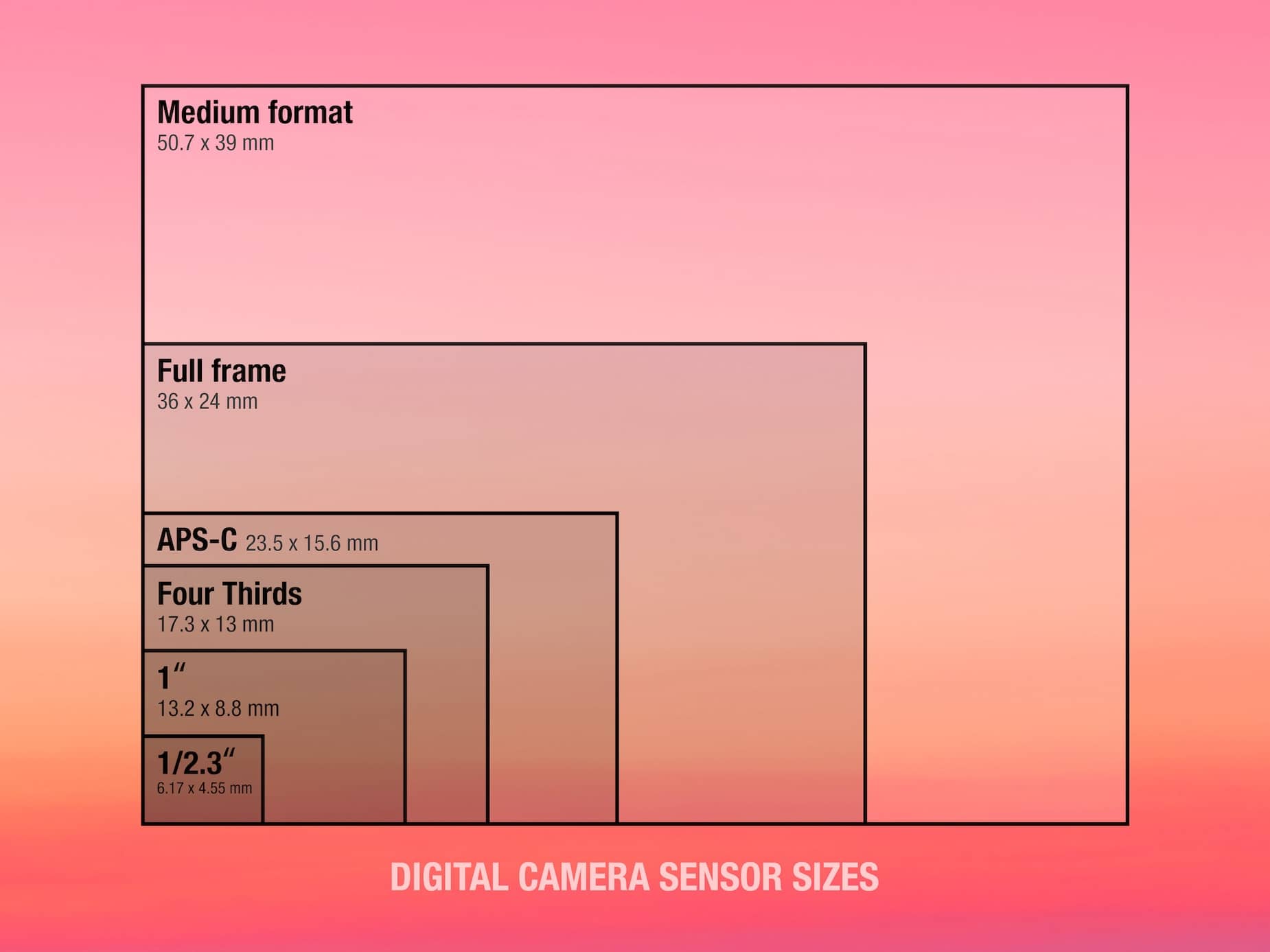 Camera Sensor Size Explained Angle of View Image