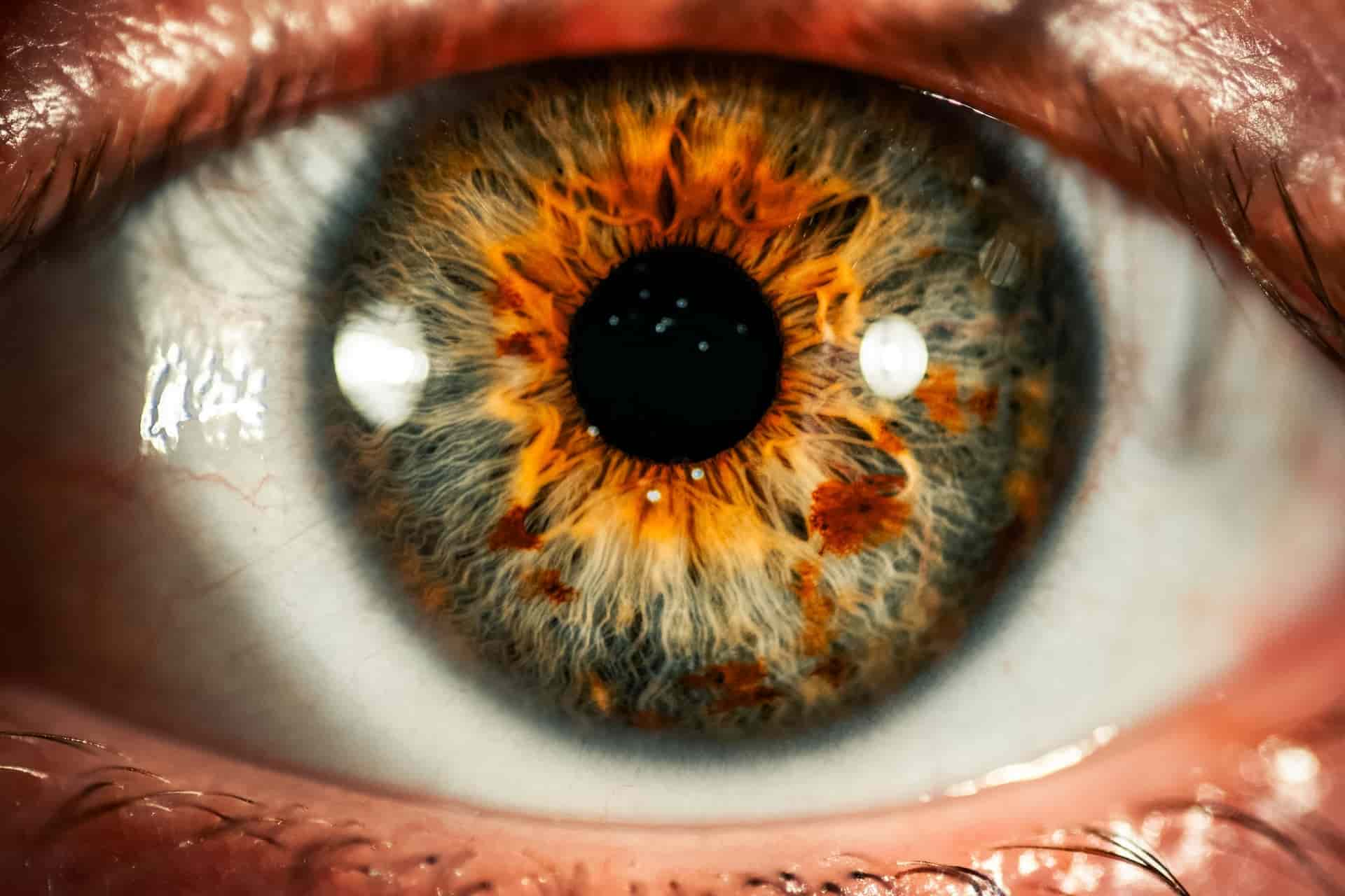 Types of Photography Macro Photography