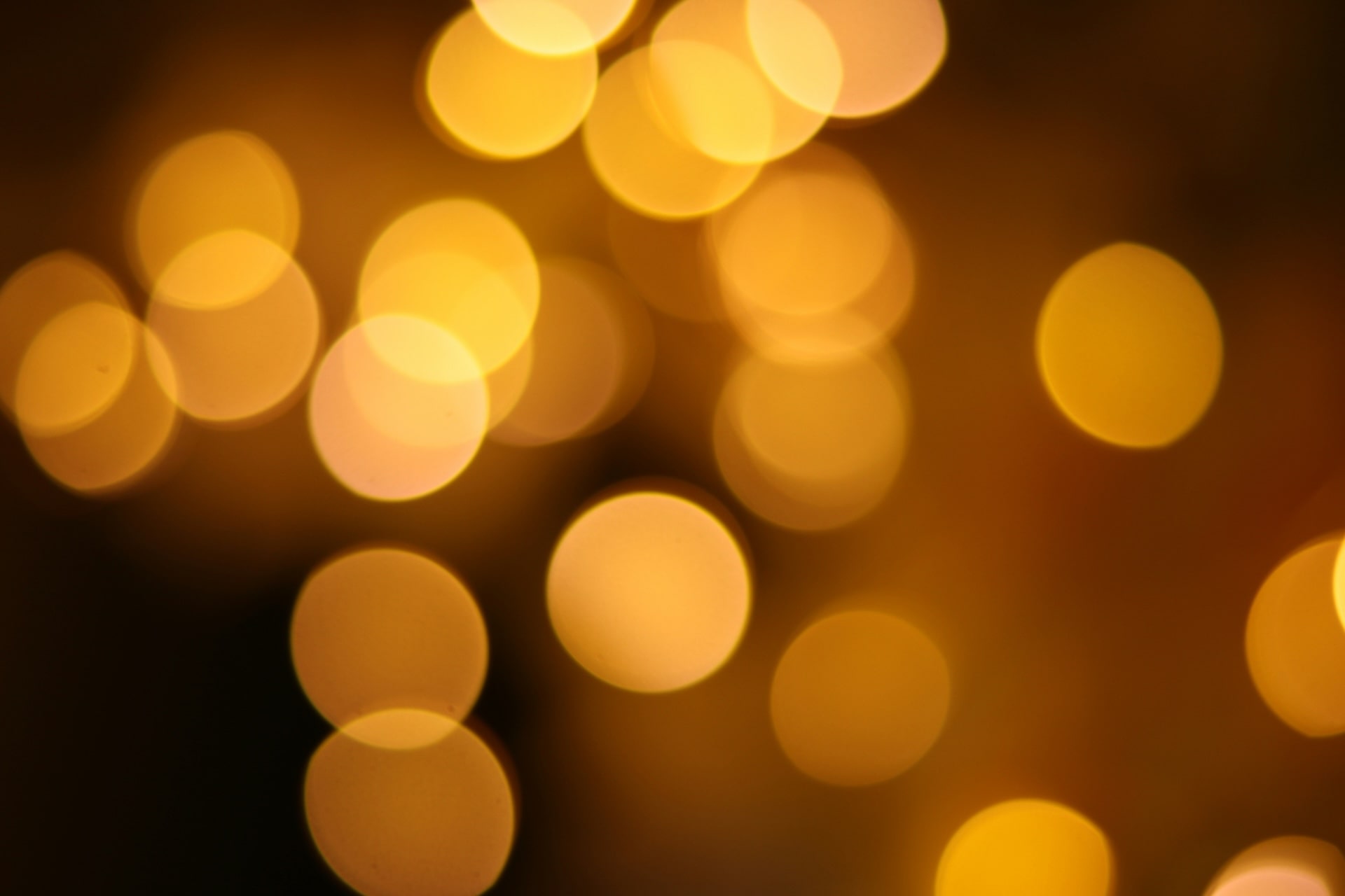 What is Bokeh Bokeh Example Photography