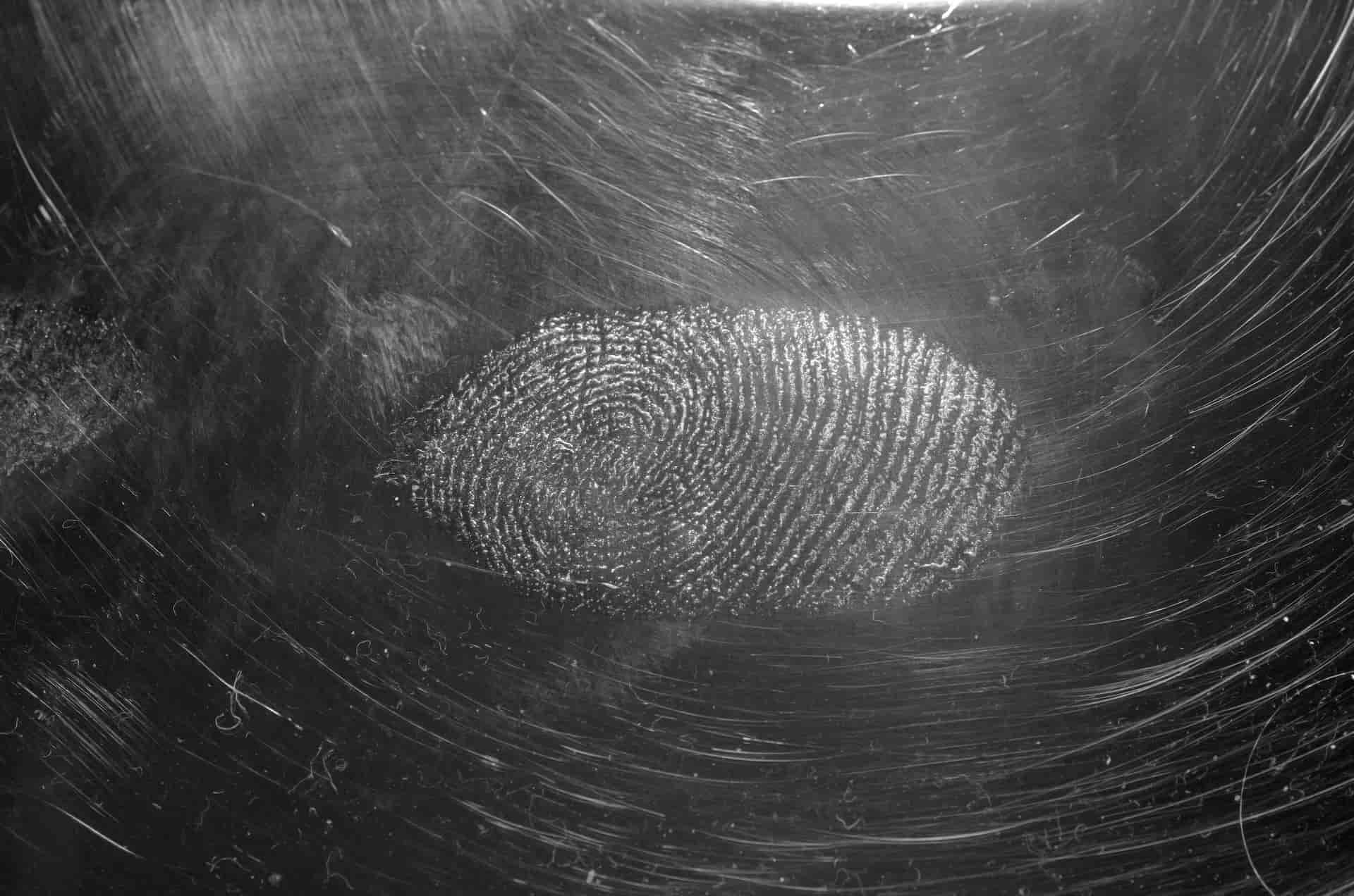What is Macro Photography — The Art of the Tiny Macro Photography Examples in Forensic Science Fingerprint