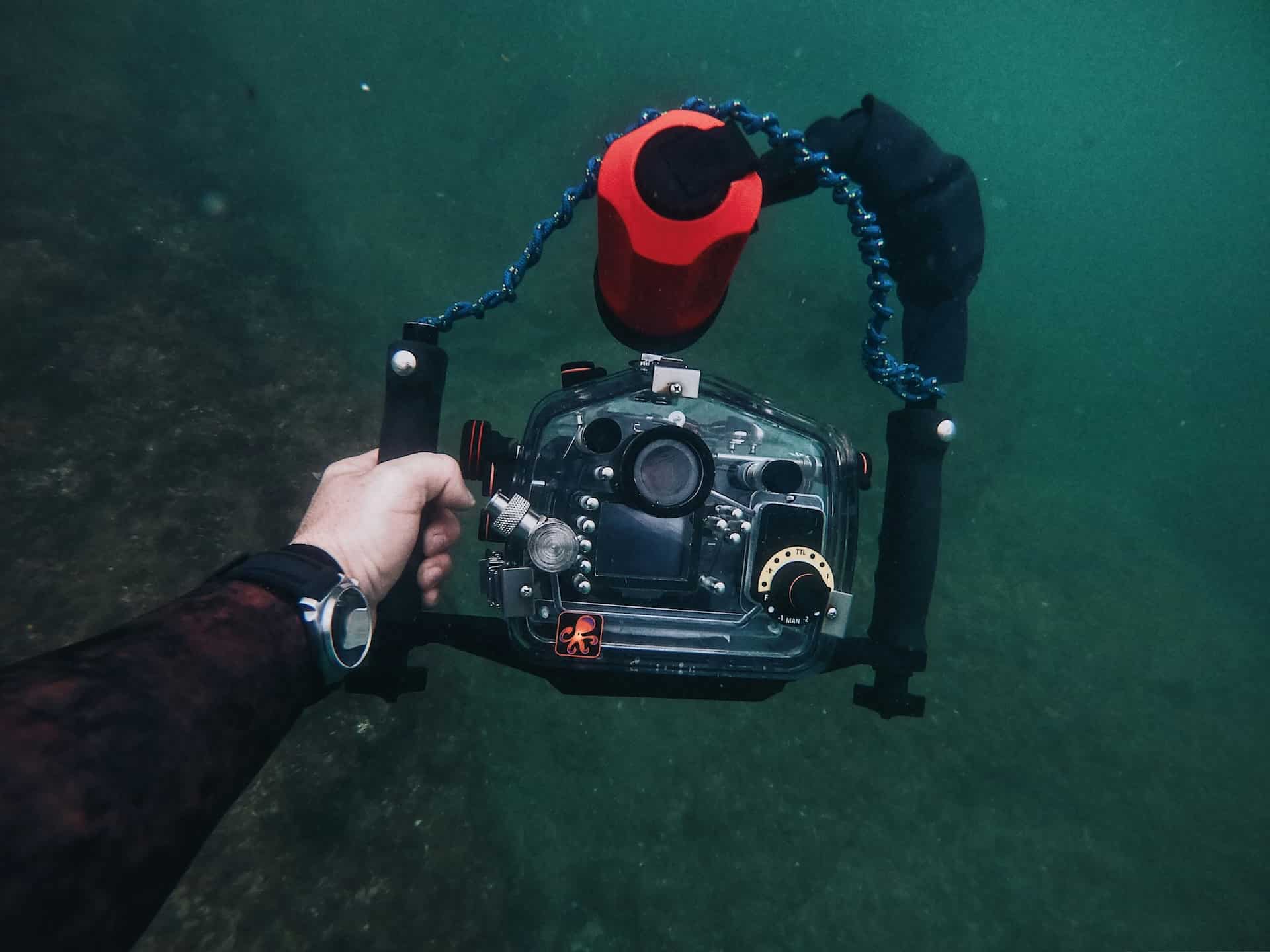 What is Wildlife Photography Camera Equipment