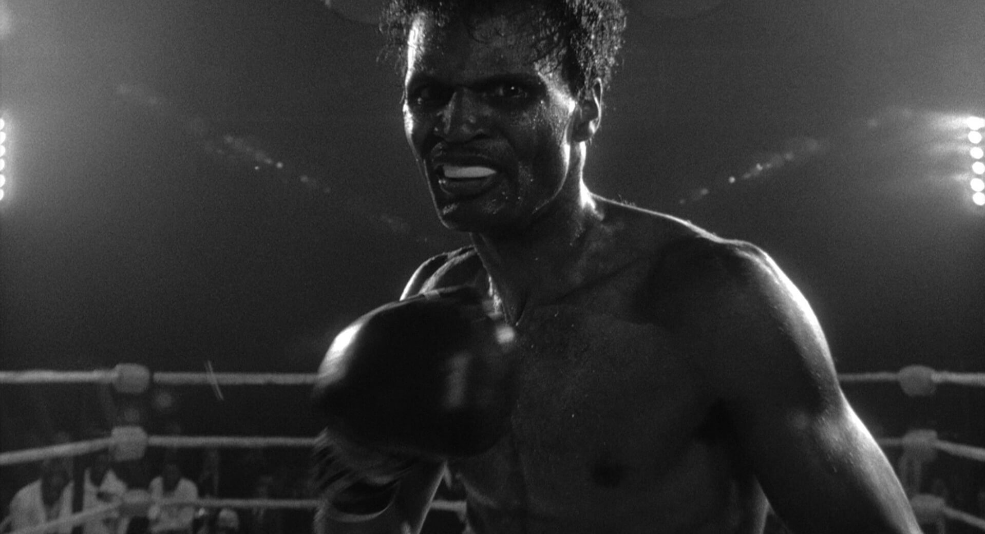 POV Shot Raging Bull