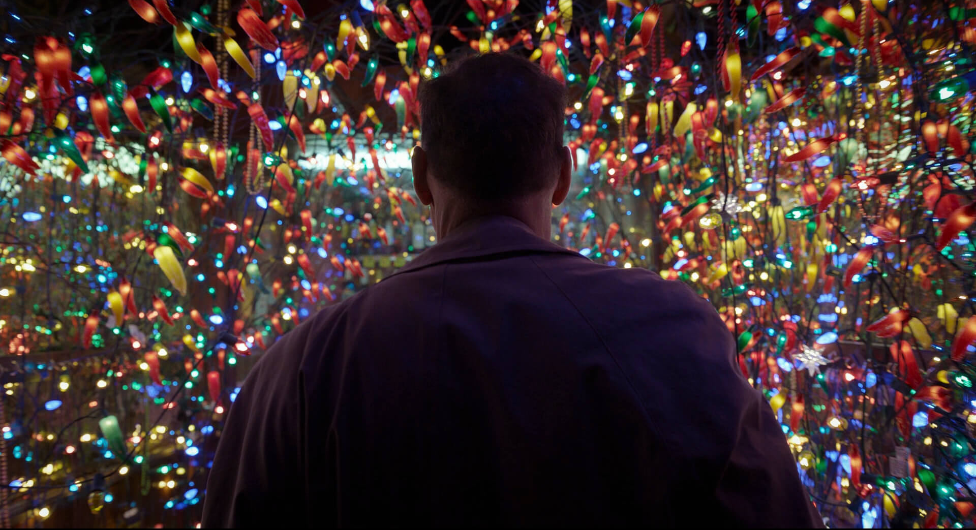 Tracking Shot Birdman or The Unexpected Virtue of Ignorance
