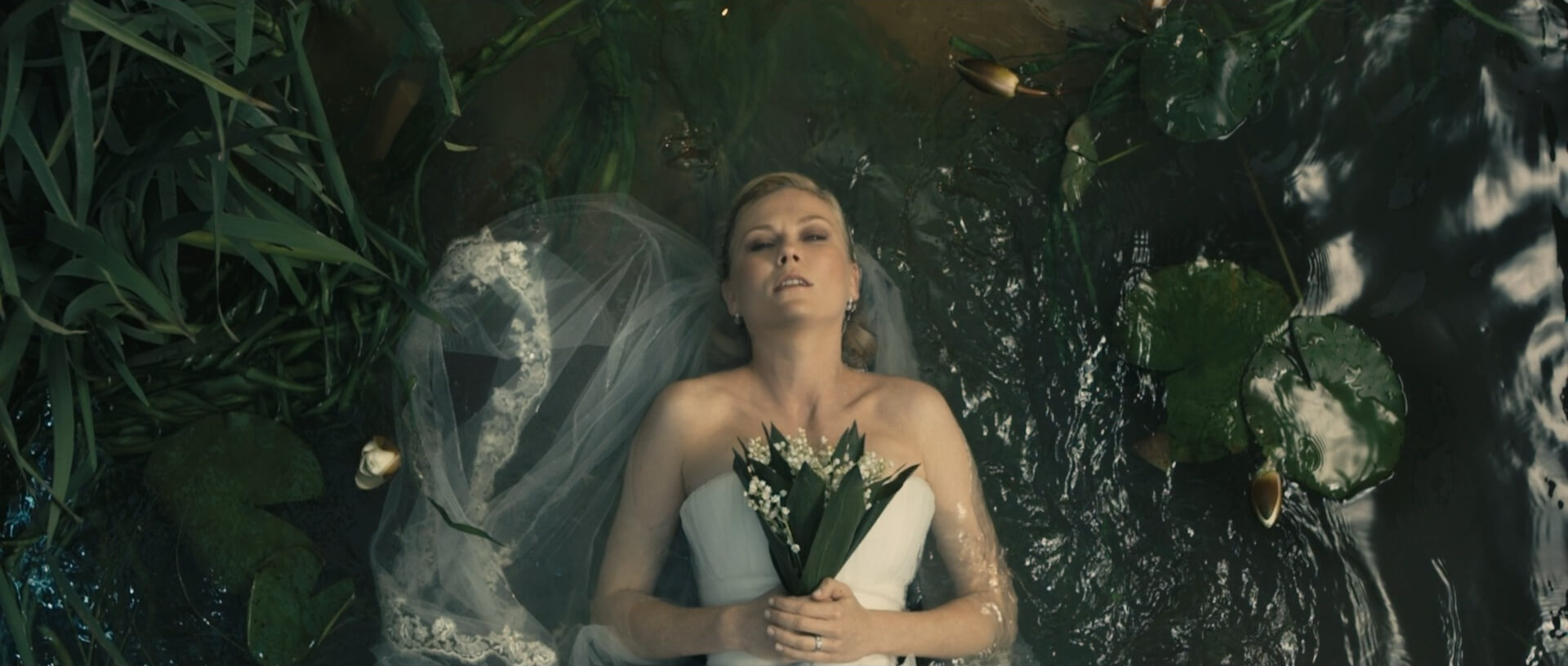 What is the Overhead Shot Melancholia