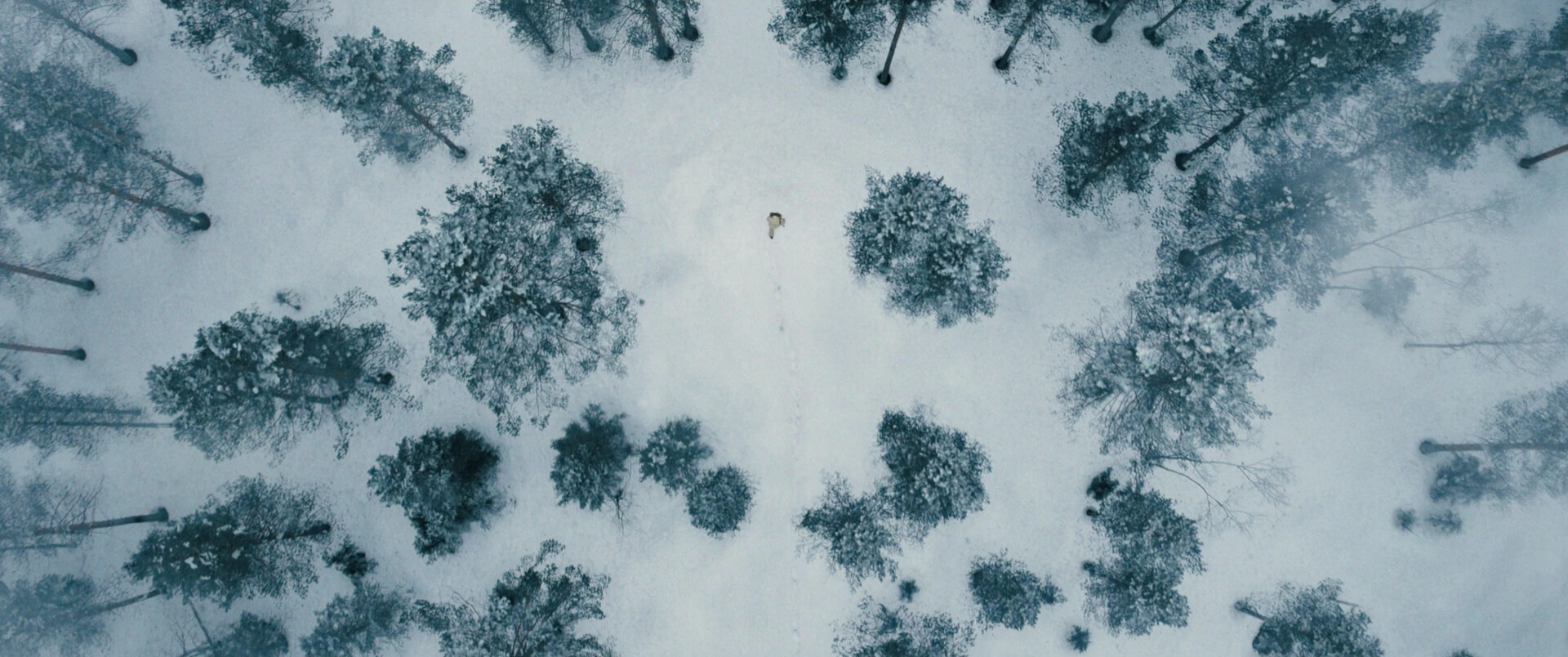 What is the Aerial Shot No Time to Die