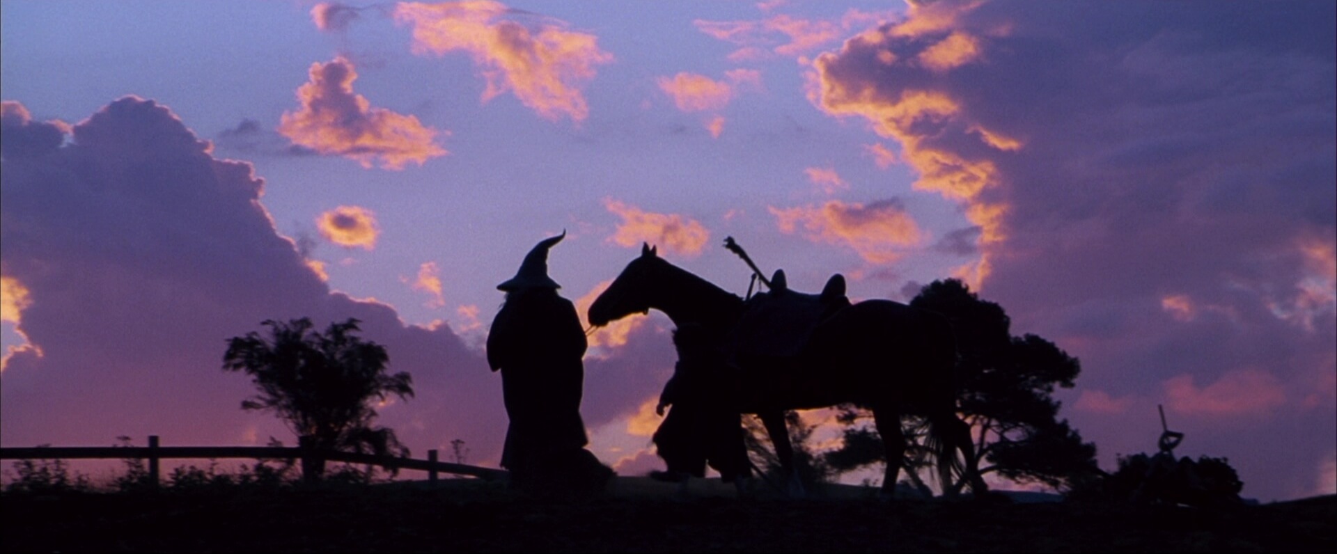 Wide Shot The Lord of the Rings The Fellowship of the Ring