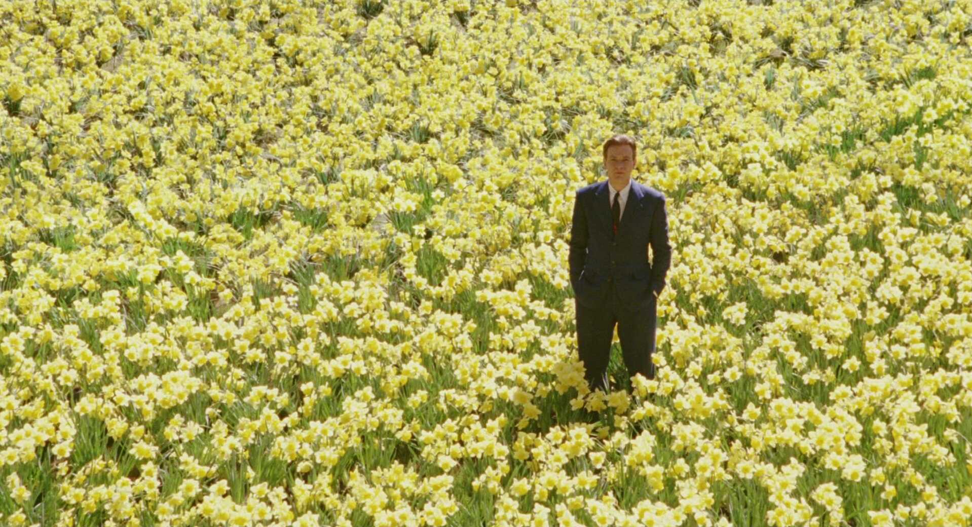 Extreme Wide Shot Example EWS of Ewan McGregor standing in Field of Daffodils from The Big Fish