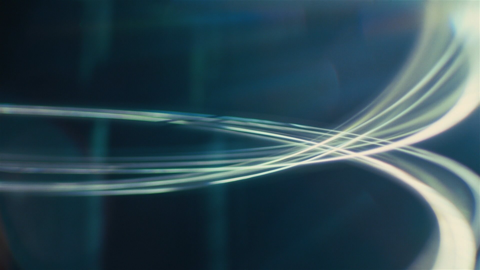 Macro Lens Shot Example Macro Lens Shot from Oppenheimer