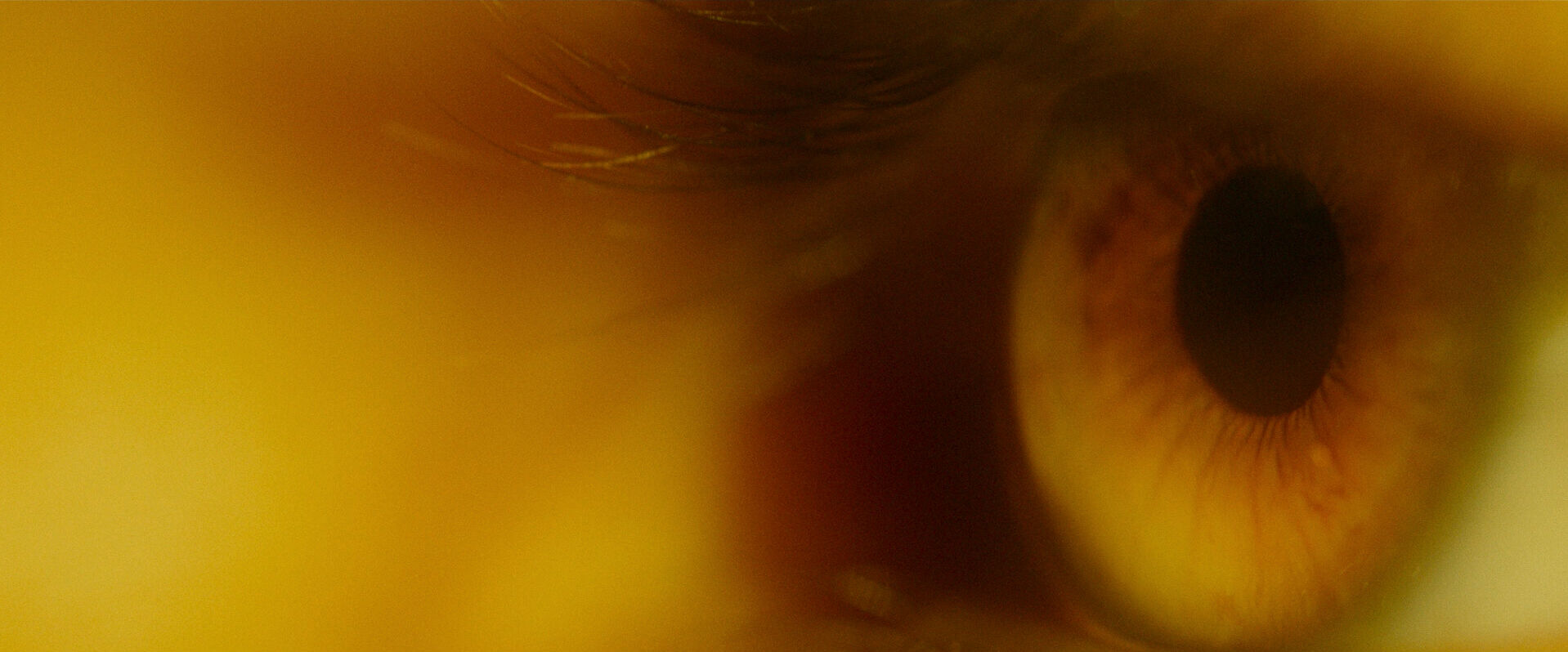 Macro Lens Shot Example Macro Lens Shot of an eye from Theory of Everything