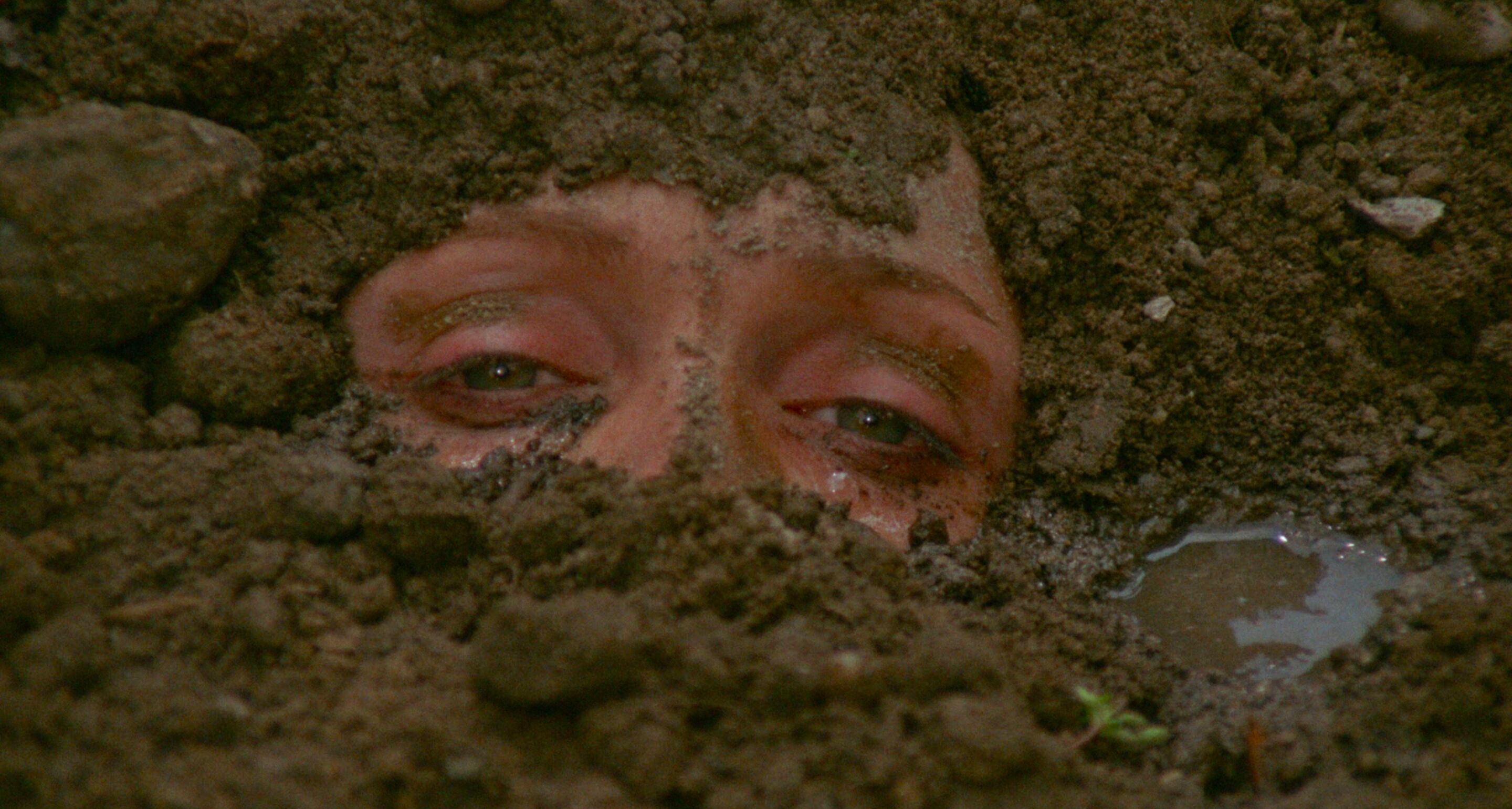 Positive Space in Film Example Positive Space Shot from Teorema