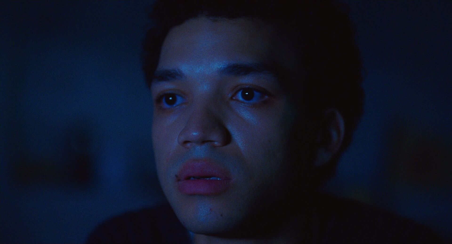 Shallow Focus Shot Example Shallow Focus Shot from I Saw The TV Glow