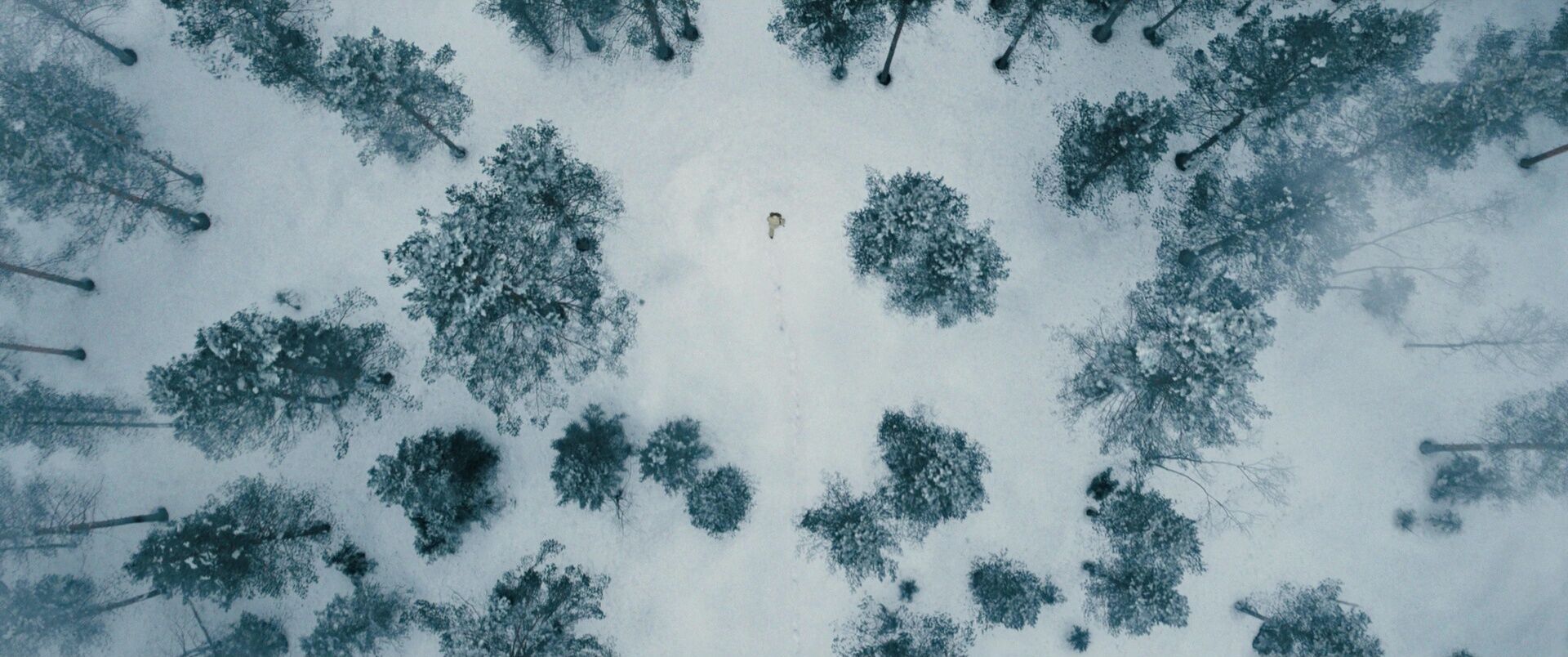 Drone Shot Movement Example Drone Shot from No Time to Die