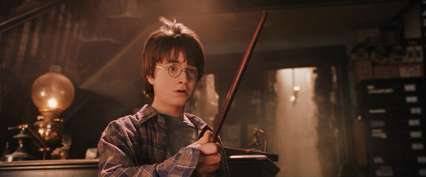 What is the Chosen One Harry Potter Finds His Wand What is the Chosen One Harry Potter Finds His Wand