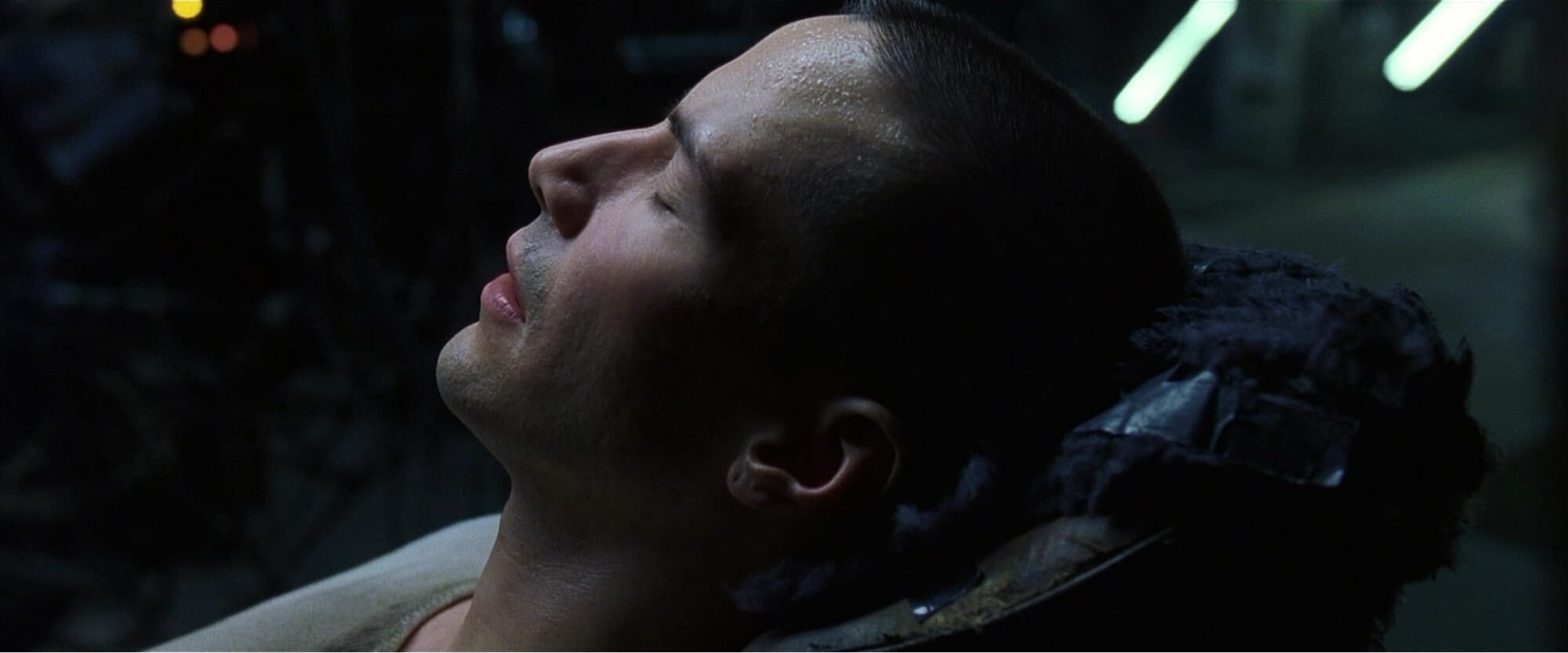 Best Movie Quotes The Matrix Best Movie Quotes The Matrix