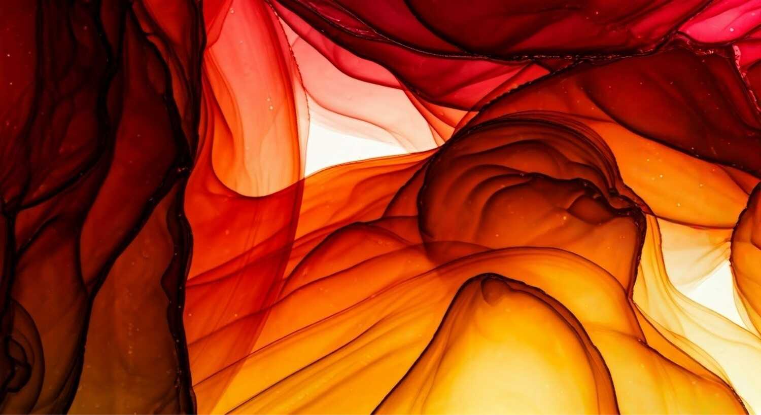 Contrast Types of Photography — Styles Genres & Techniques High contrast photography • How many types of photography are there Contrast Types of Photography — Styles Genres & Techniques High contrast photography • How many types of photography are there