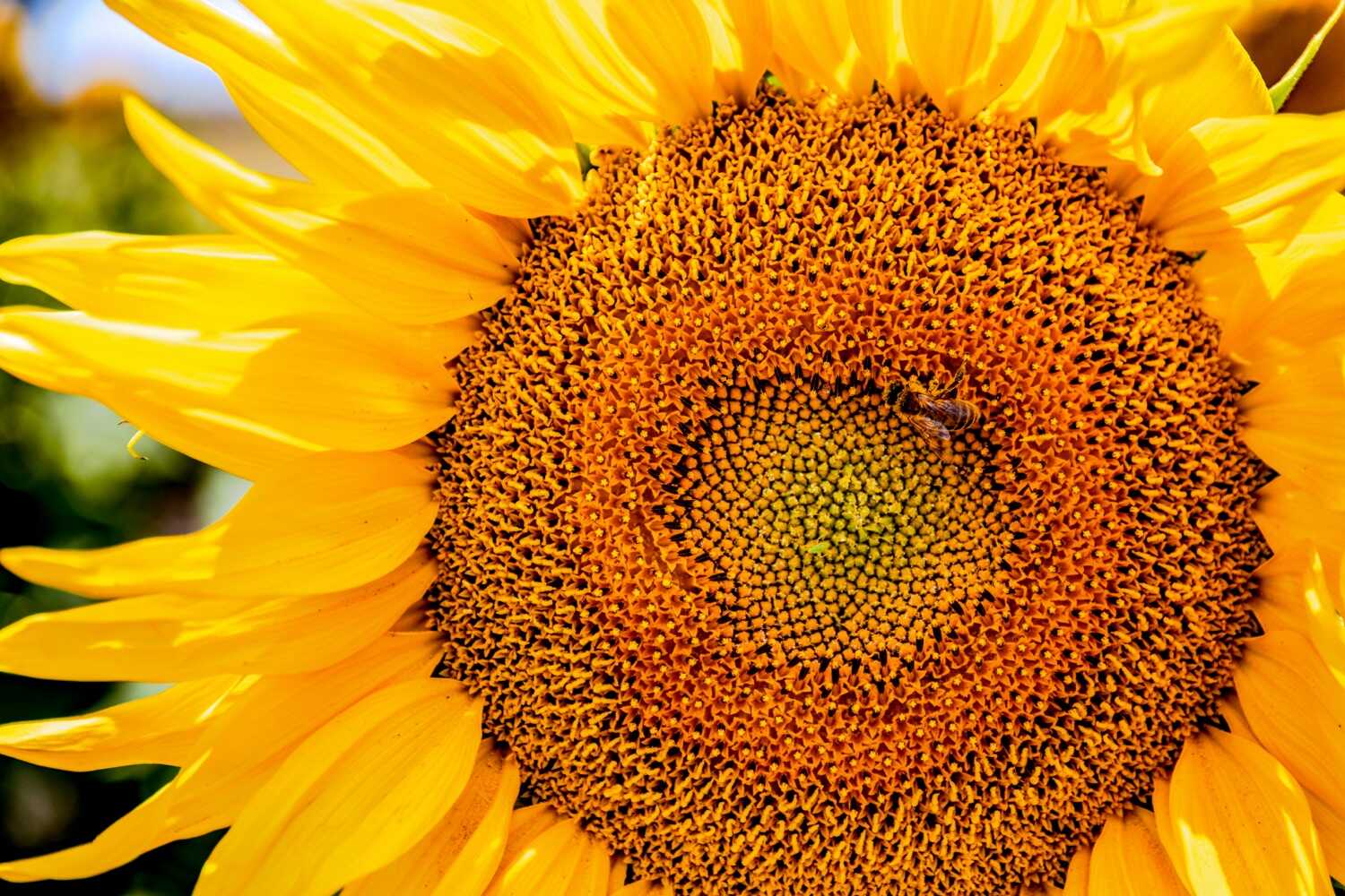 Fill the Frame Photography Fill the Frame Photography Fill the Frame Photography Fill the Frame Photography