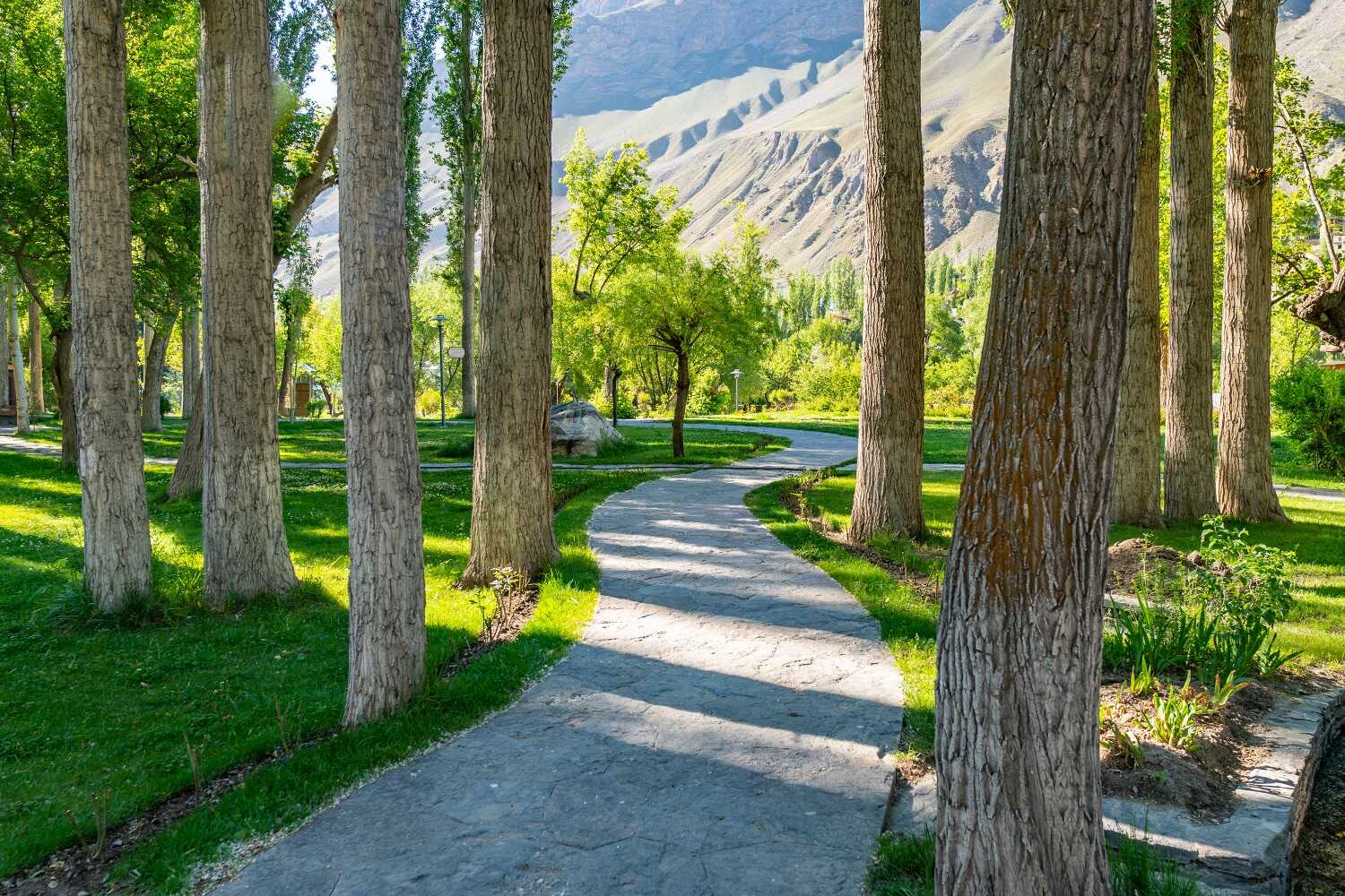 Leading Lines Examples in Photography Natural Leading Lines Example Leading Lines Examples in Photography Natural Leading Lines Example