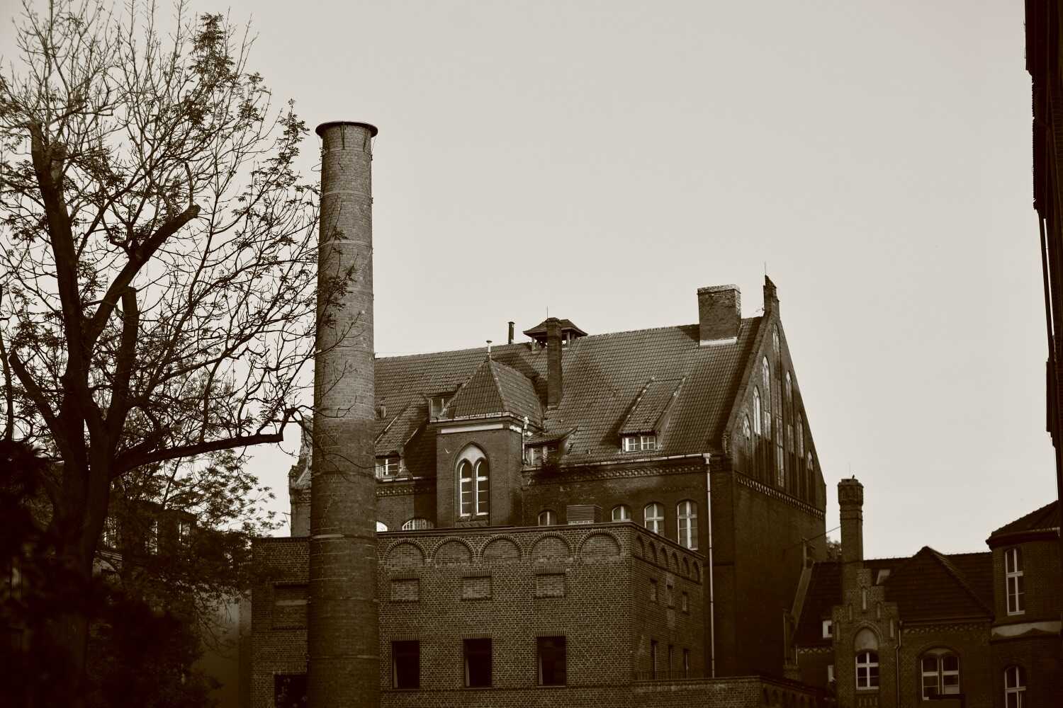 Sepia Photographs Types of Photography Styles Genres & Techniques Sepia photography Types of photos Sepia Photographs Types of Photography Styles Genres & Techniques Sepia photography Types of photos