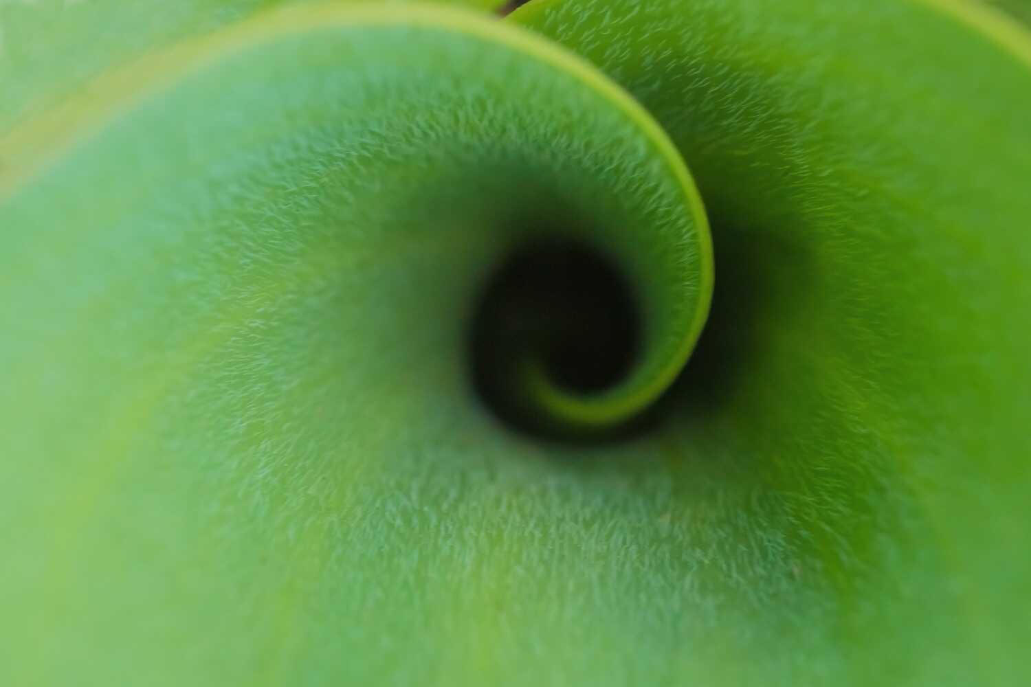 What is Composition in Art Golden Ratio and Golden Spiral What is Composition in Art Golden Ratio and Golden Spiral
