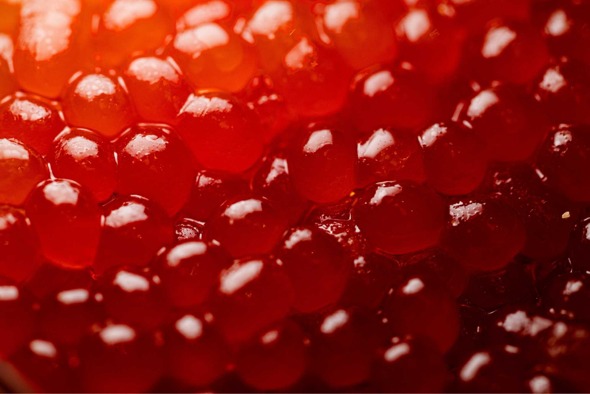 What is Macro Photography — The Art of the Tiny David Loftus · Macro Photography Examples What is Macro Photography — The Art of the Tiny David Loftus · Macro Photography Examples
