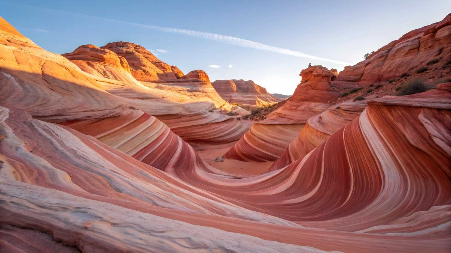 What is Nature Photography Photos What is Nature Photography Photos