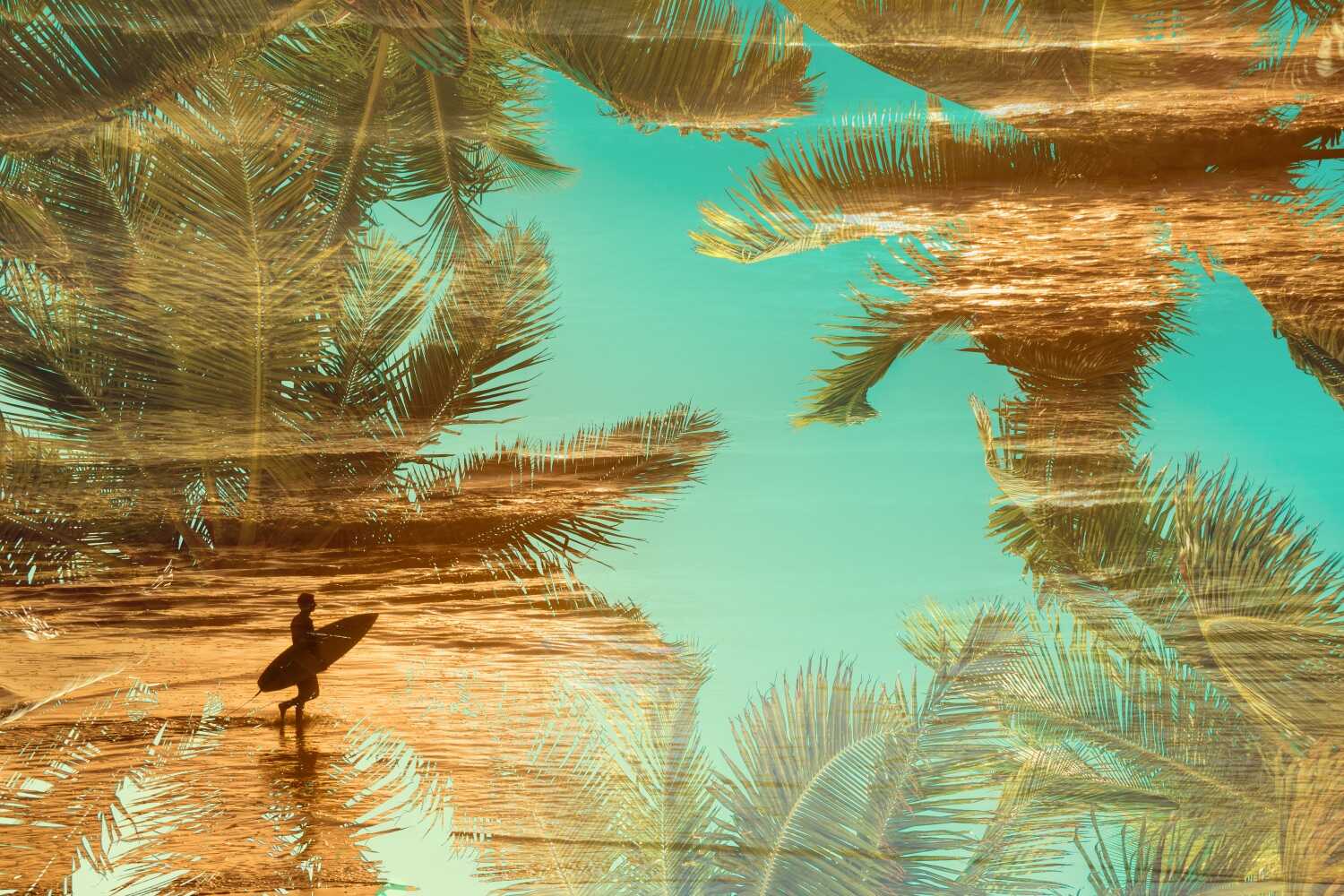What's Double Exposure Double Exposure Example What's Double Exposure Double Exposure Example