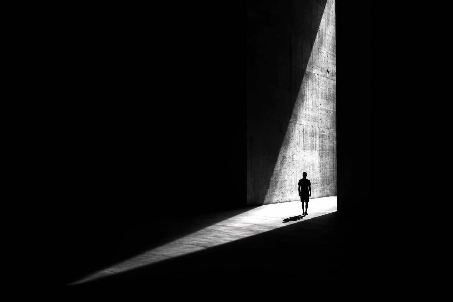 Best High Contrast Photography Sample Image Silhouette Best High Contrast Photography Sample Image Silhouette