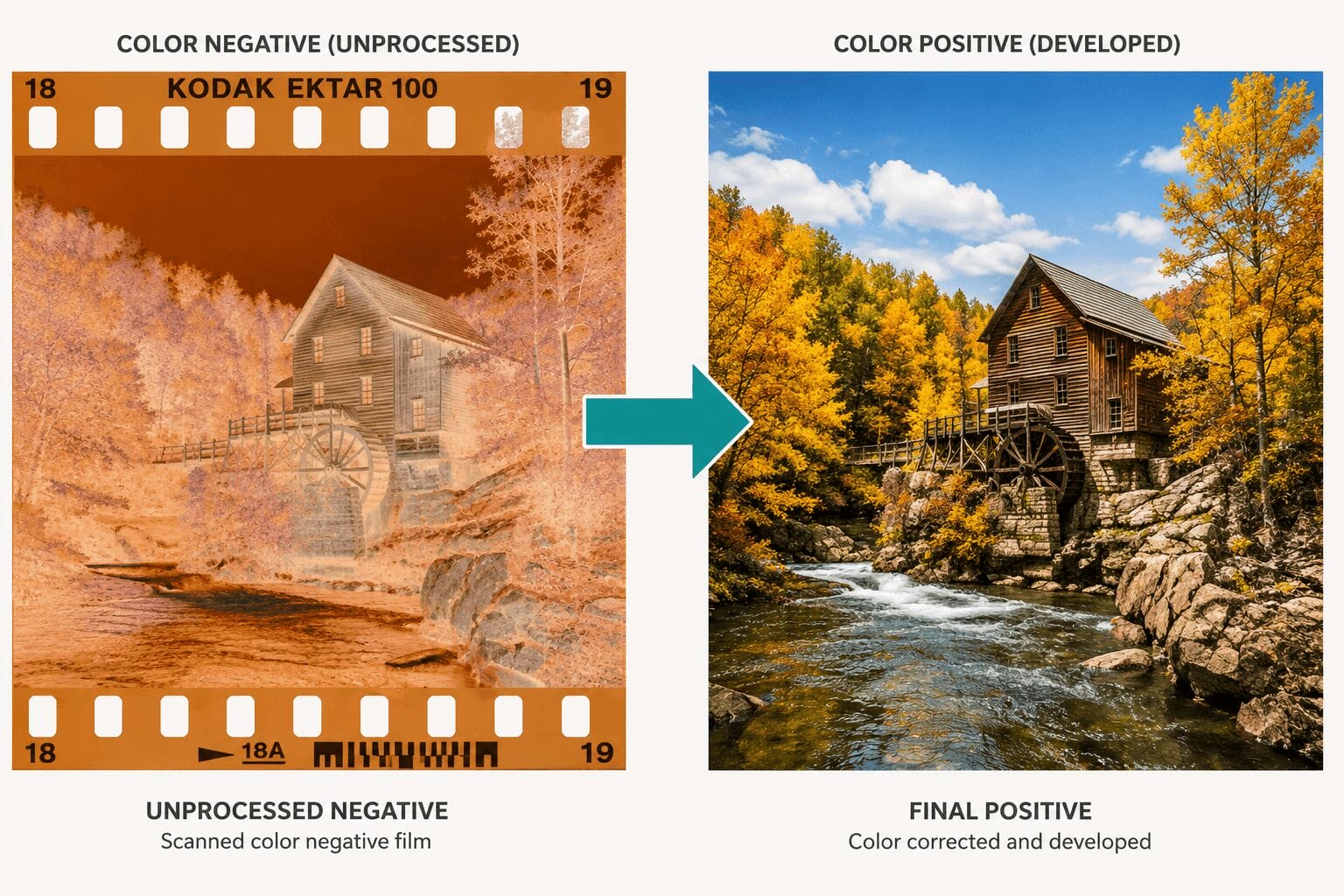 Color Negative Film Color Negative Film