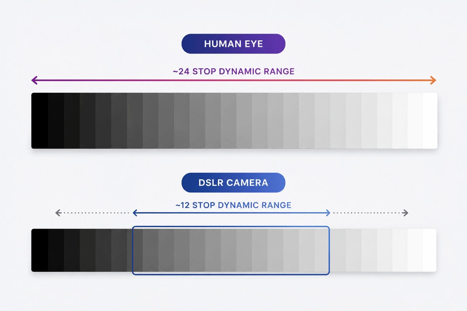 Dynamic range camera scale Dynamic range camera scale