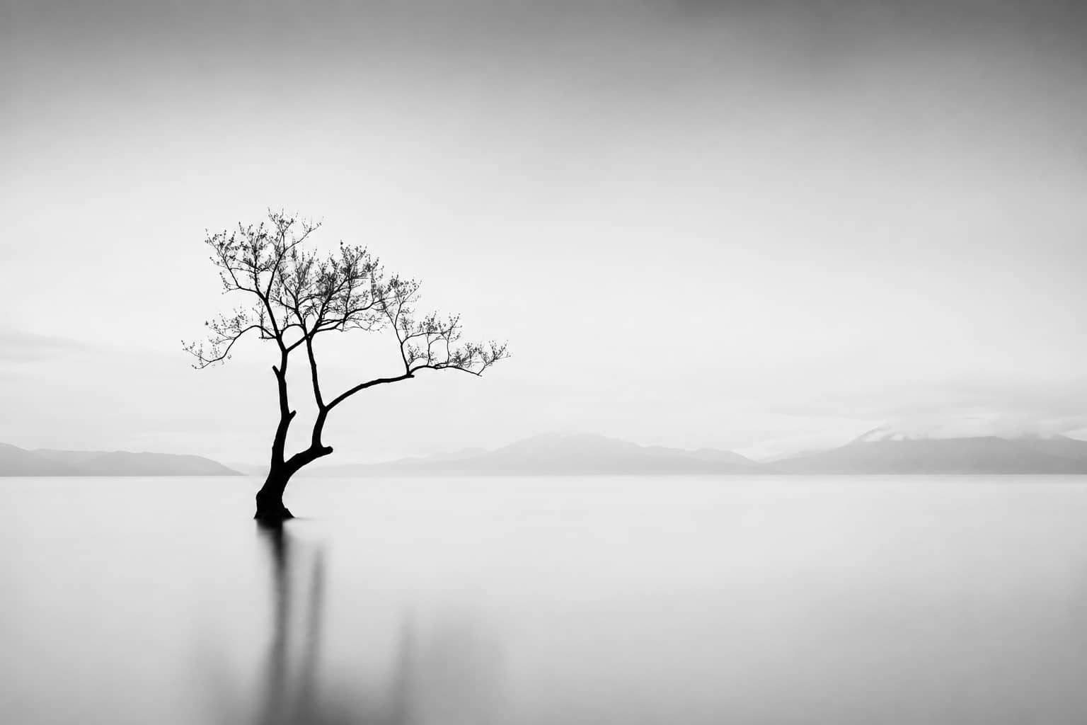 Negative Space When Shooting Black and White Photography Negative Space When Shooting Black and White Photography
